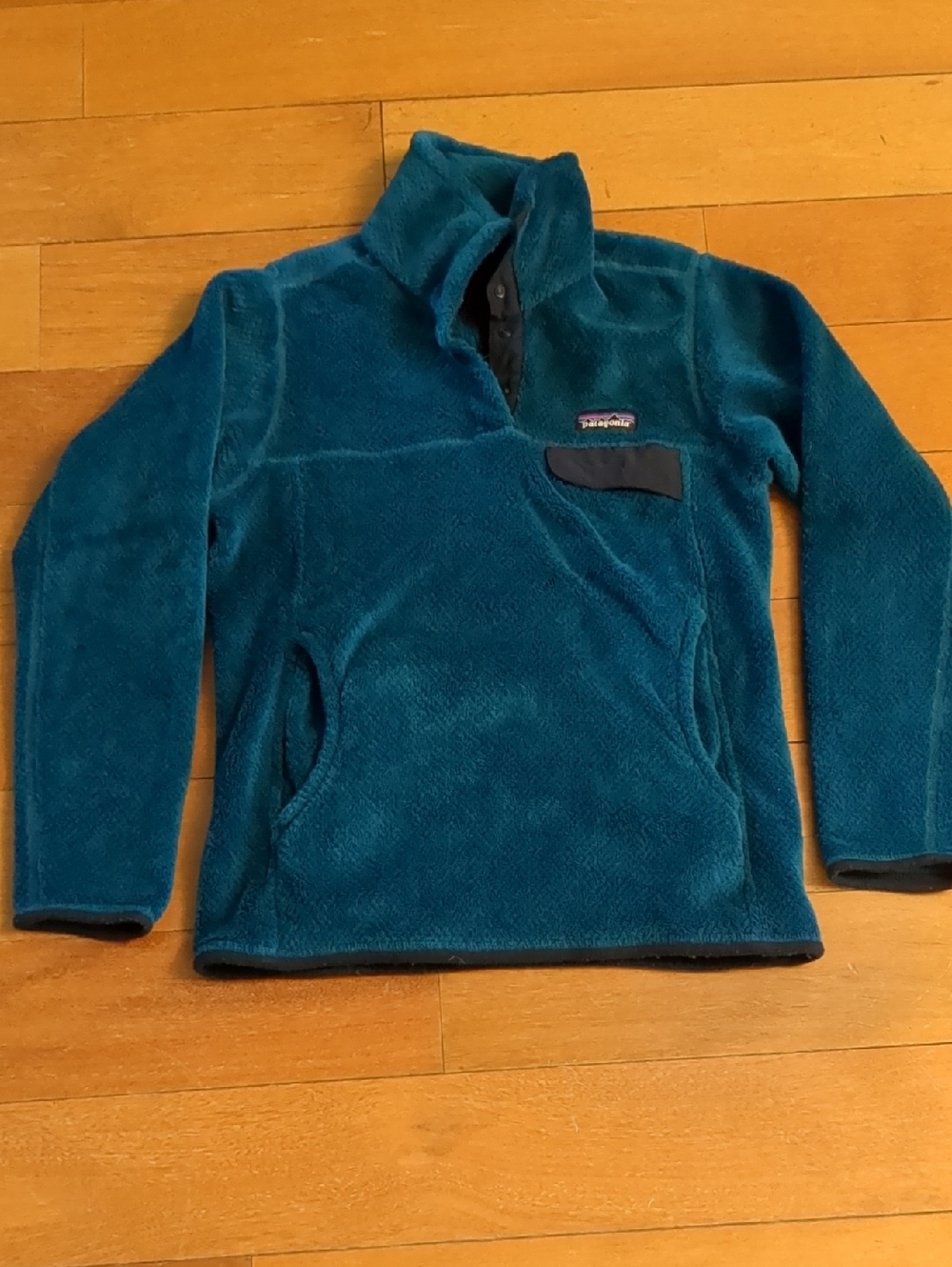Patagonia Teal Blue Pullover Fleece